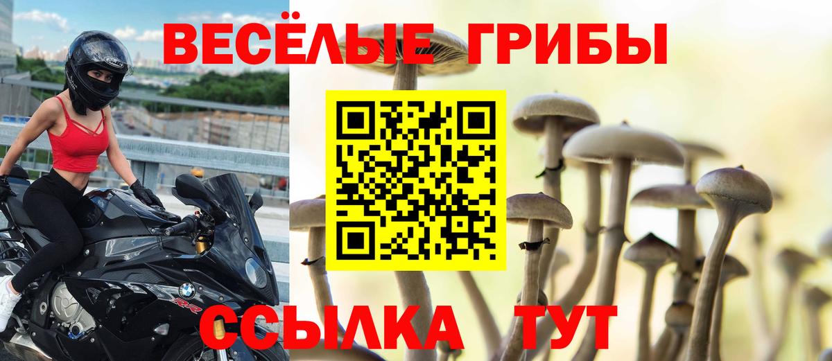 Галлюциногенные грибы MAGIC MUSHROOMS  Вход с VPN  Югорск 